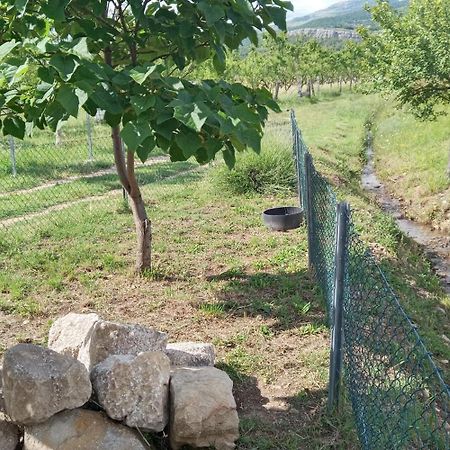 Stone House Vlasta Drnis Luaran gambar