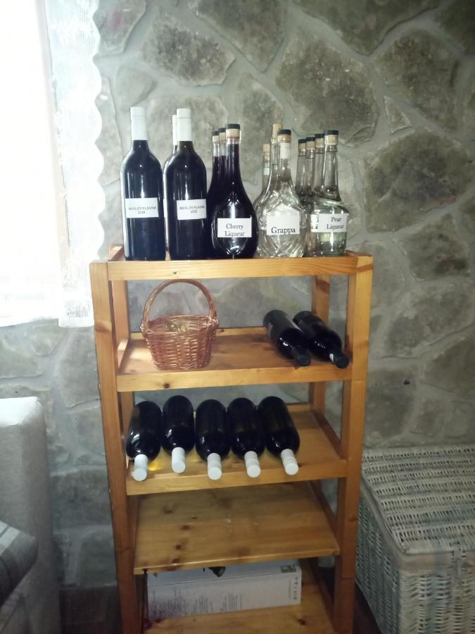 Stone House Vlasta Drnis Luaran gambar
